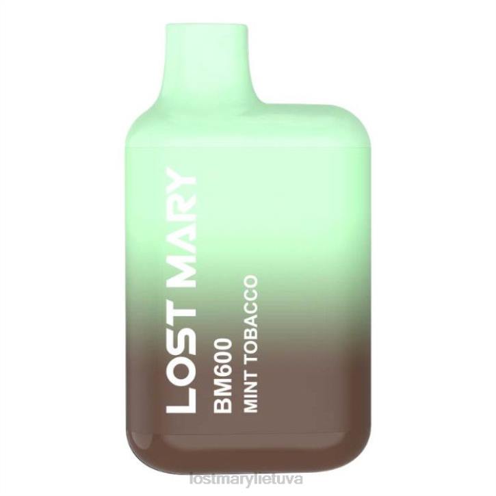 pamestas Mary bm600 vienkartinis vape mėtinis tabakas | LOST MARY Tappo Z4JV130